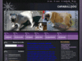 carabulldog.es