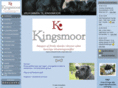 kingsmoor.net