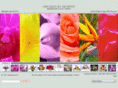 orchidsbymurphy.com