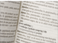 pienterpublishing.nl
