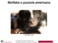 puzzolaamericana.com