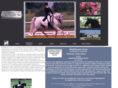 shellhavenfarm.net