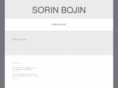 sorinbojin.com