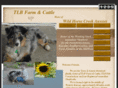 tlbwildhorsecreekaussies.com