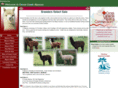 buyalpacas.com