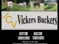 vickersbuckers.com