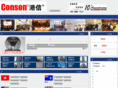 consonchina.com