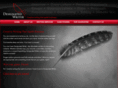 designatedwriter.com