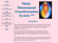 mdt-system.com