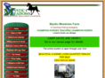 mysticmeadows.net