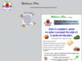 wellnessplusintl.com