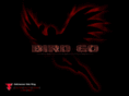 birdgo.com