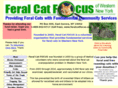 feralcatfocus.com