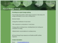 focusenergygroup.net