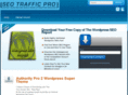 seotrafficpro.com
