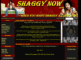 shaggynow.com