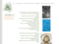 aynarchitect.com
