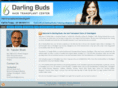 hairtransplantchandigarh.com