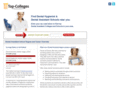 top-dental-assistant-schools.com
