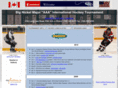 bignickelhockey.com