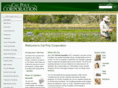 calpolycorporation.com