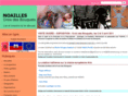 croixdesbouquets.net