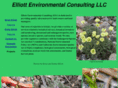 elliottconsultingusa.com