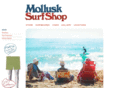 mollusksurfshopnyc.com