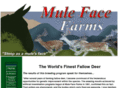mulefacefarms.com