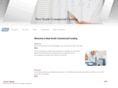 newsouthfunding.com