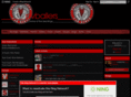 pvballers.com