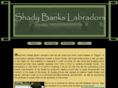 shadybankslabs.com