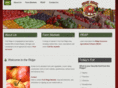 countrymarketguide.com