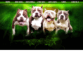 lepsshowdownkennelz.com