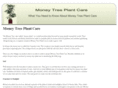 moneytreeplantcare.com