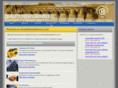 qualitydieselservice.com