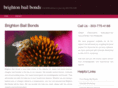 bailbondsbrightoncolorado.com