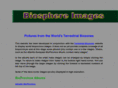 biosphere-images.net