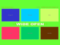 dizzykrisch-wideopen.de