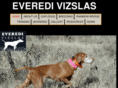 everedivizslas.com