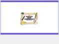 admininfosolution.com
