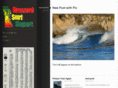brevardsurfreport.com