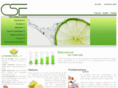 csetechnologie.com
