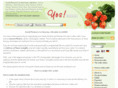 make-flowers.com
