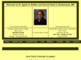 stagnescatholic.com