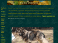 bigboyshepherds.com
