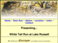 lakerussellcabins.com