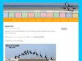 opale-kite.fr