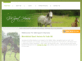 gbsporthorses.com
