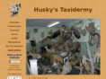 huskystaxidermy.com